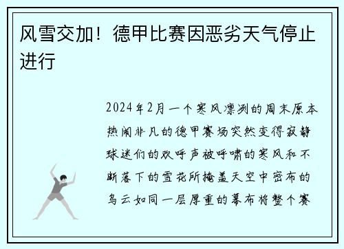 风雪交加！德甲比赛因恶劣天气停止进行